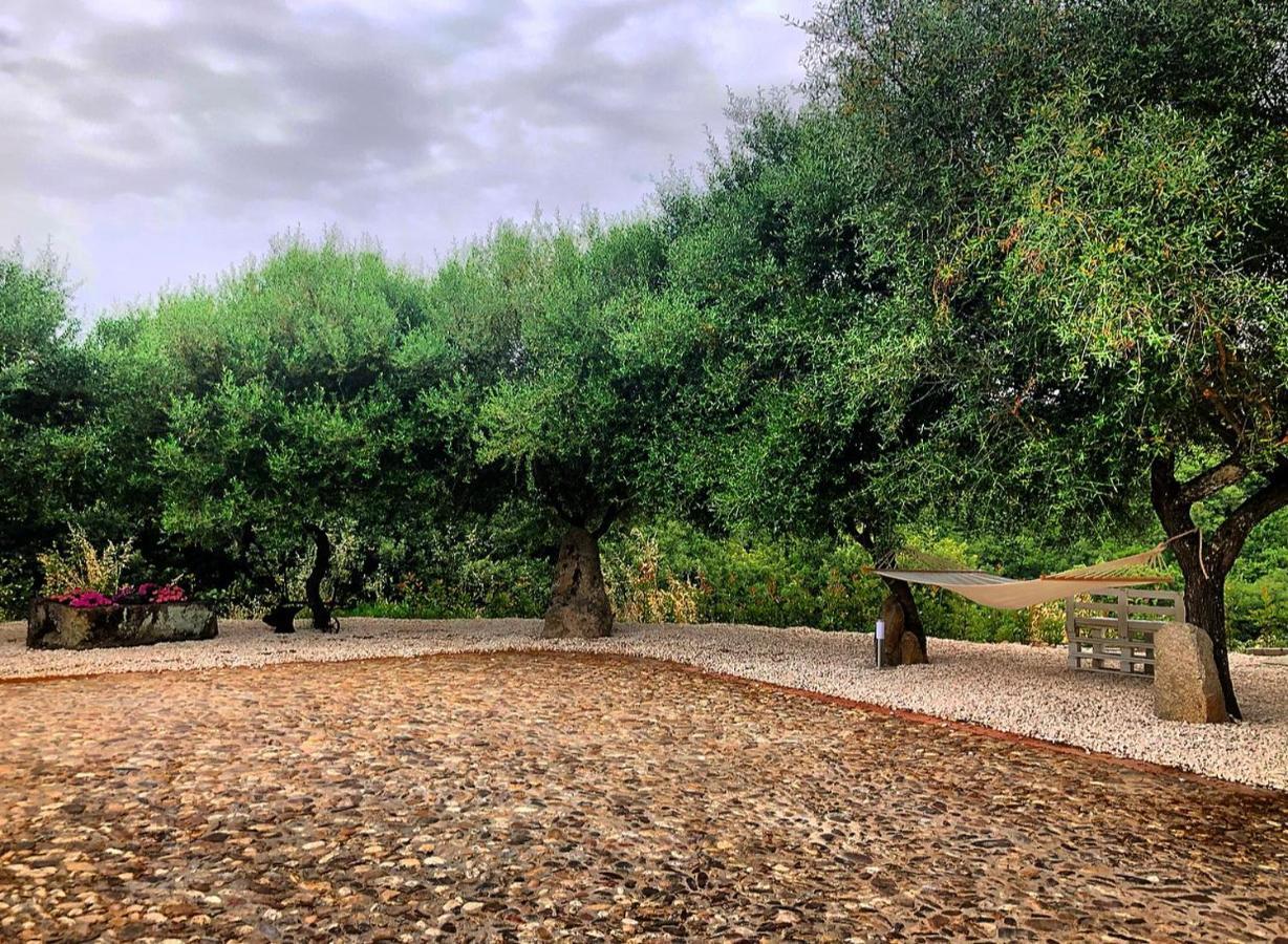 B&B Casa Vacanza Centro Sardegna Sorgono Exteriör bild