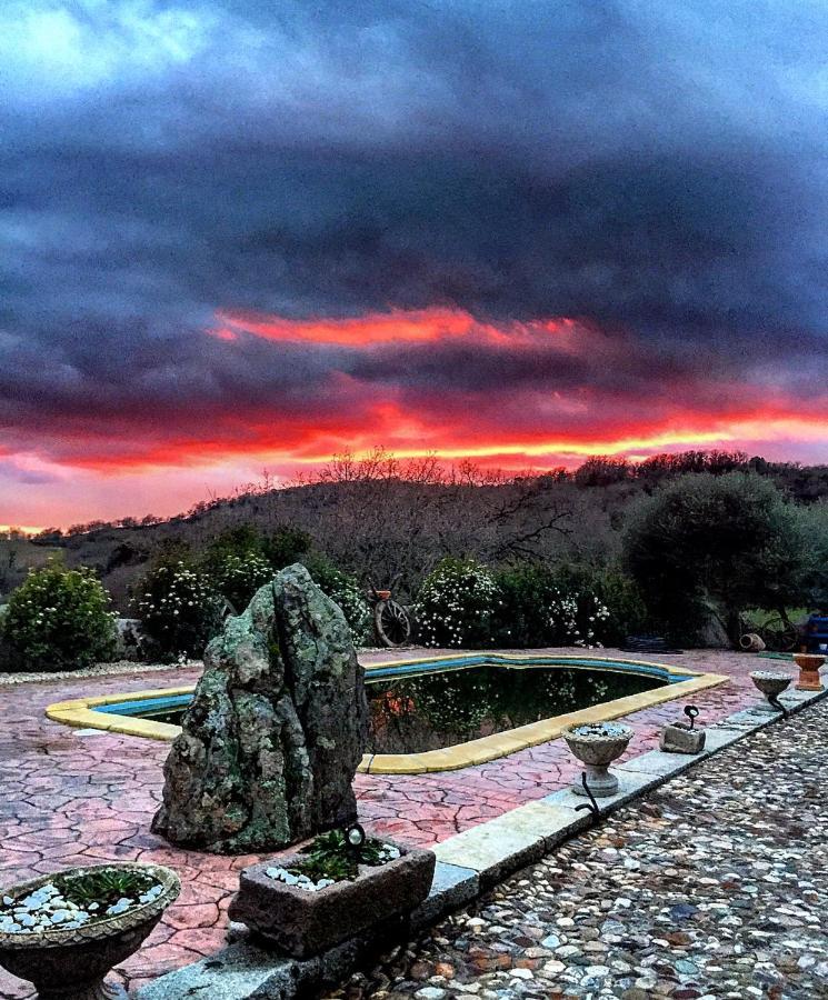 B&B Casa Vacanza Centro Sardegna Sorgono Exteriör bild