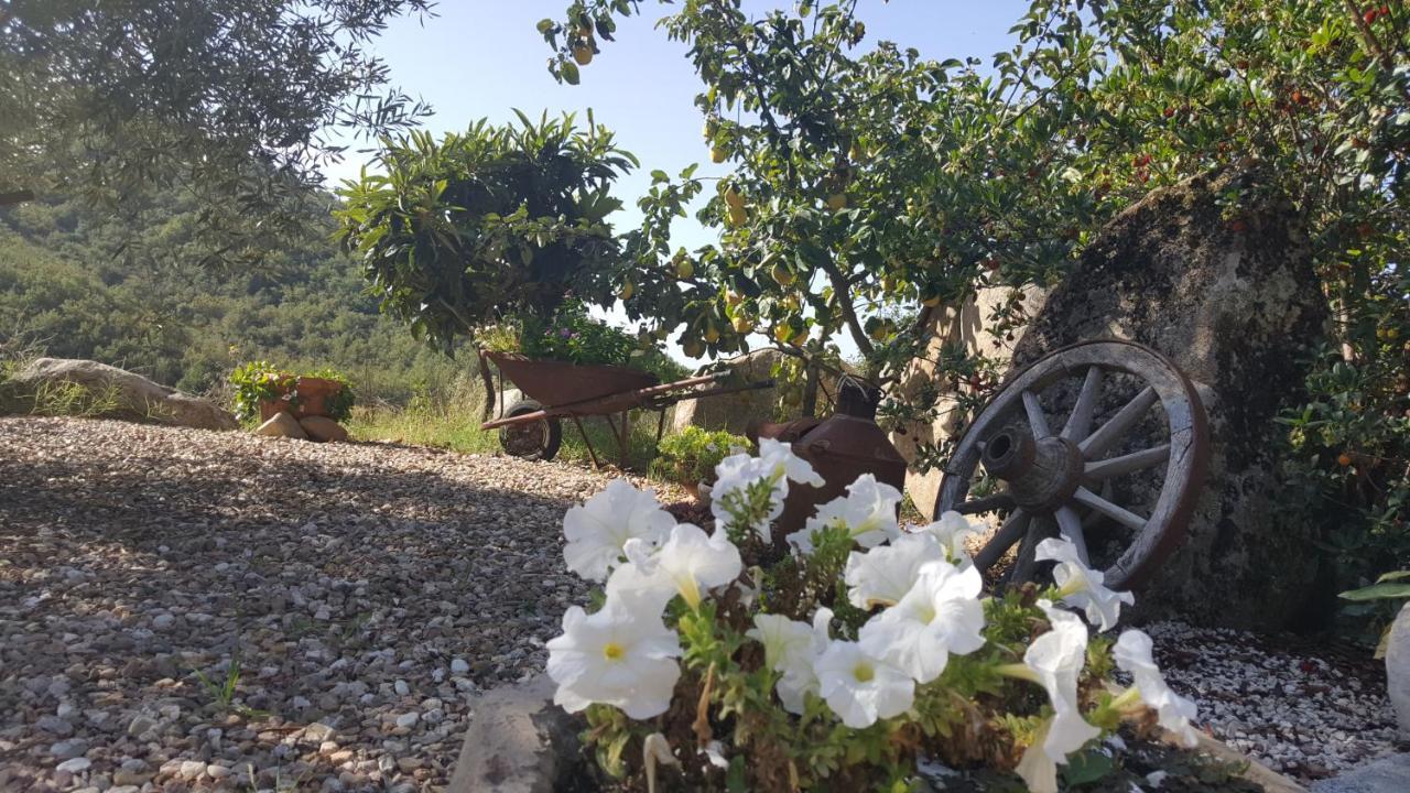 B&B Casa Vacanza Centro Sardegna Sorgono Exteriör bild