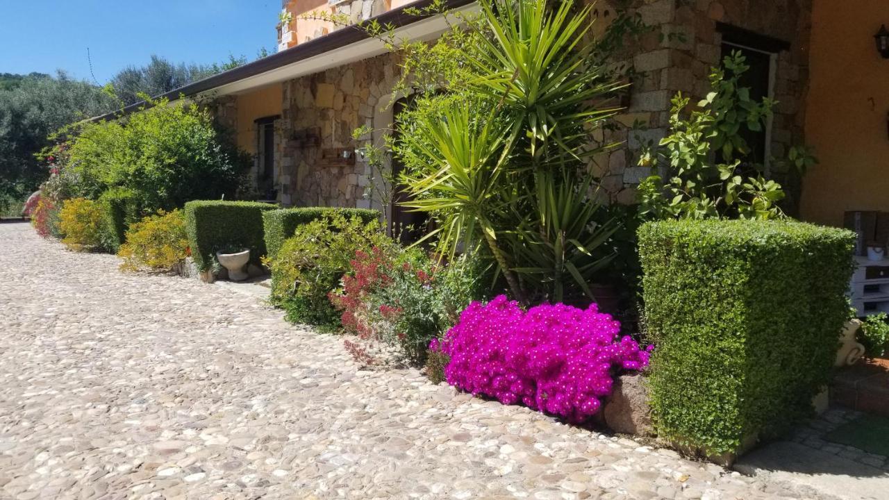B&B Casa Vacanza Centro Sardegna Sorgono Exteriör bild
