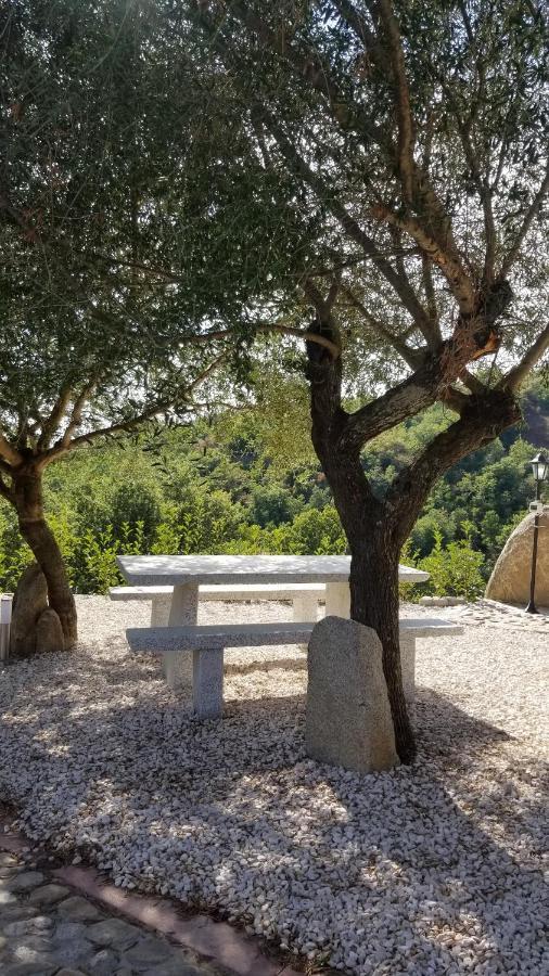 B&B Casa Vacanza Centro Sardegna Sorgono Exteriör bild