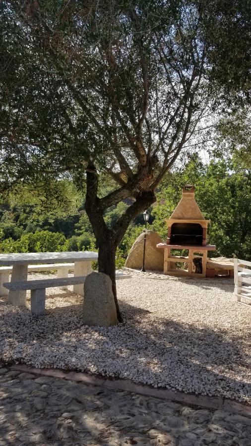B&B Casa Vacanza Centro Sardegna Sorgono Exteriör bild