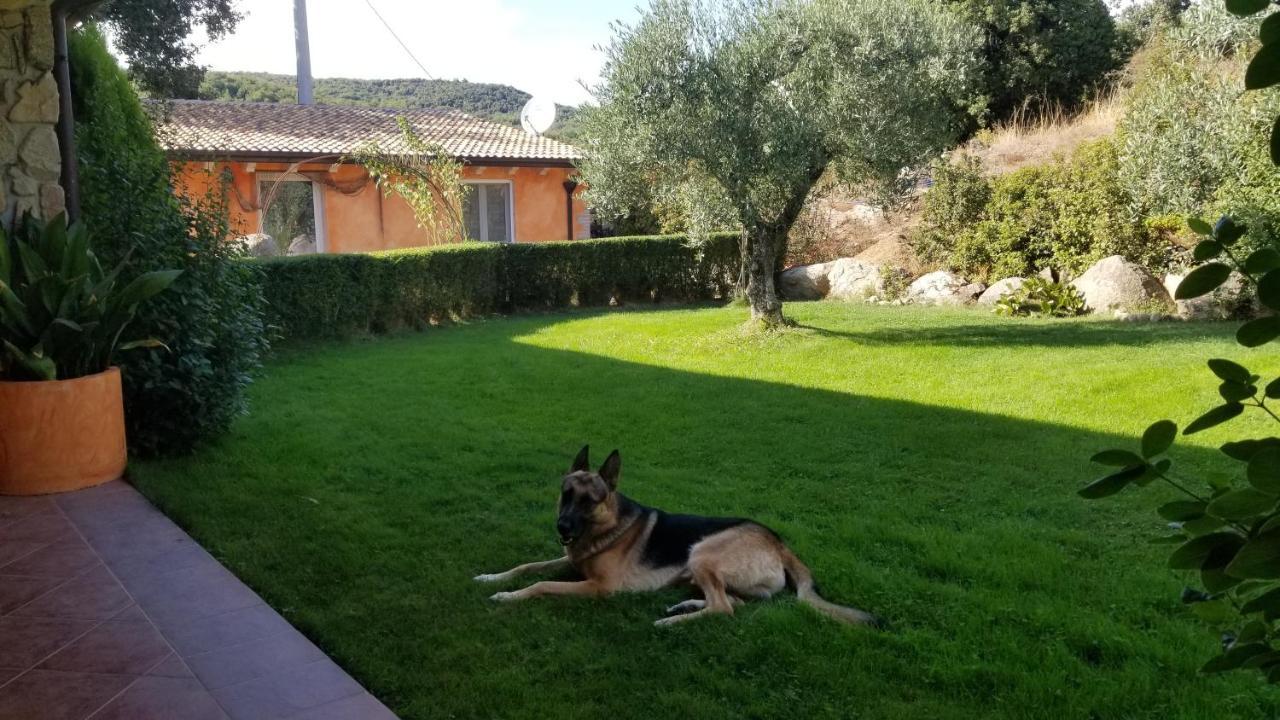 B&B Casa Vacanza Centro Sardegna Sorgono Exteriör bild